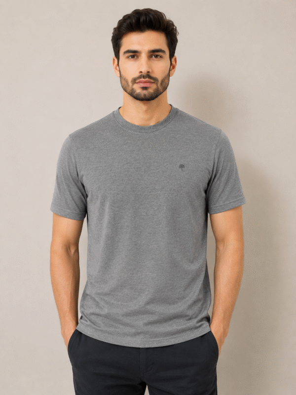 chennis-grey-tshirt-new